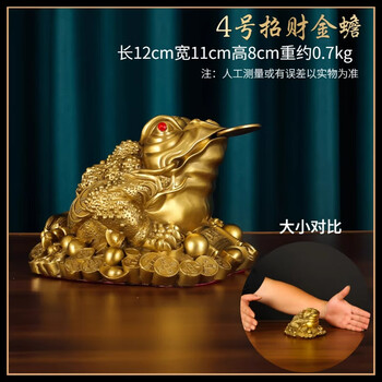 琵琶蟾蜍品牌及商品- 京东