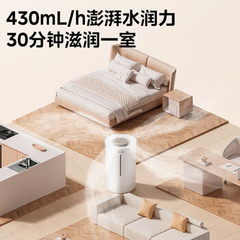 美的（Midea）加湿器 热雾卧室婴儿空气净化除菌 办公室桌面低噪大容量空调伴侣【企采购】/RS-3RWLS