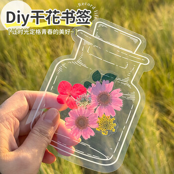天色干花书签压花材料包创意手工制作毕业纪念礼物小学生男女孩植物标本缤纷花语系列粉色19朵TS-6134