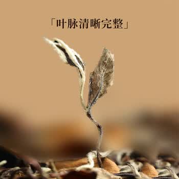 七春陈皮白茶 口粮散茶250g福鼎老白茶贡眉陈皮自己喝端午节礼物