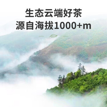 顶青湖古树鸭屎香凤凰单枞茶 高山老枞潮州乌岽单丛冷泡乌龙茶罐装50克 顶青湖古树鸭屎香凤凰单枞茶 高山老枞潮州乌岽单丛冷泡乌龙茶罐装50克