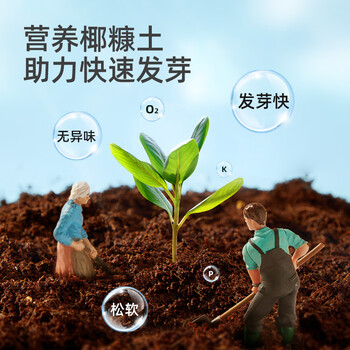 弥鹿（MiDeer）阳光房种植儿童科学小实验套装植物生长观察盒儿童生日开学礼物