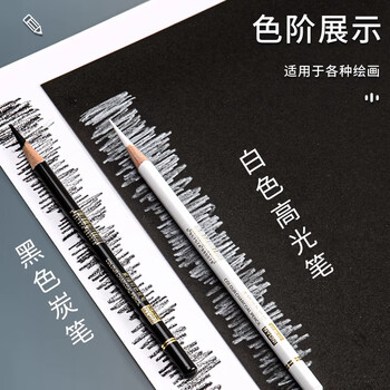 尼奥尼素描白色炭笔美术生专用高光笔白色黑色美院老师推荐专业联考画室集训学生手彩绘铅笔白色5盒/40支