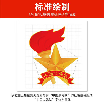 迪麦佳 【开学季】标准队徽京东自营校徽队徽胸章小学生别针磁扣款立体火炬队徽 立体队徽别针款 3枚装