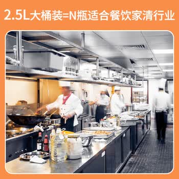 夏阳（XIAYANG）重油污清洗剂2.5L厨房抽油烟机强力溶解去油污