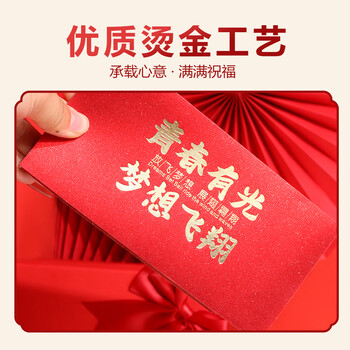 Touch Fish 十八岁成人礼红包男生女孩18岁生日礼物创意个性折叠红包袋送惊喜仪式感学生 折叠红包（6卡位）