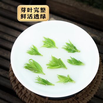 八窨飘雪小叶苦丁茶 2026新茶茶叶春茶无硫正宗四川头采嫩芽送礼品袋250g 八窨飘雪小叶苦丁茶 2026新茶茶叶春茶无硫正宗四川头采嫩芽送礼品袋250g