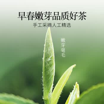 贡苑绿茶正宗龙井茶250g明前新茶礼盒装春茶嫩芽散装茶叶自己喝