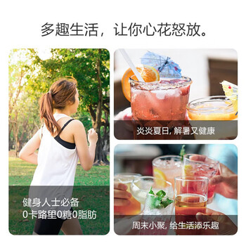 飞利浦（PHILIPS）家用台式气泡水机 小型自制气泡打气机 碳酸饮料打气机苏打水机 ADD4852WH