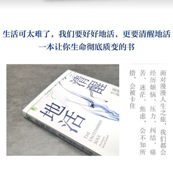 清醒地活：超越自我的生命之旅 正念 冥想 臣服实验 活着 清醒 觉察 自我 平和 喜悦 幸福 成长