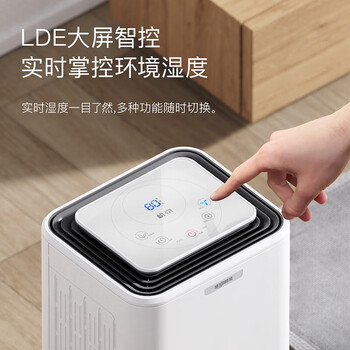 松京（SenseGene）除湿机/抽湿机 12升/天 2-20㎡ 手机远程智控家用负离子净化轻音节能吸湿器 DH02A