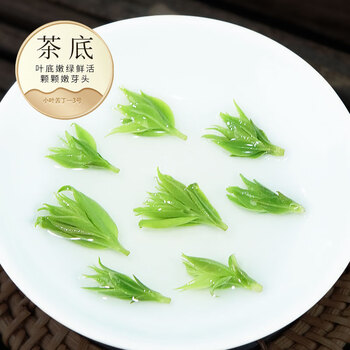 八窨飘雪小叶苦丁茶 2026茶叶新茶正宗无硫花草茶四川头采嫩芽罐装125g