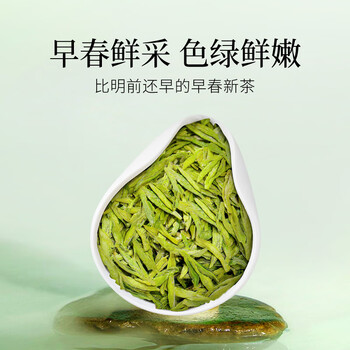 贡苑绿茶正宗龙井茶250g明前新茶礼盒装春茶嫩芽散装茶叶自己喝