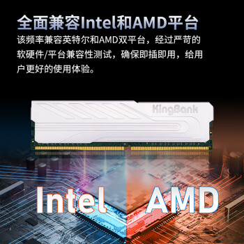金百达（KINGBANK）64GB(32G×2)套装 DDR4 3600 台式机内存条海力士原装CJR颗粒 银爵 C18
