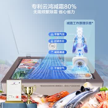 海信（Hisense）200升单温家用冰柜一级能效减霜节能大冷冻BD/BC-200ZNUB