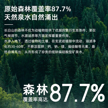 斐矿长白山饮用天然矿泉水420ml*12瓶/箱 蛇年限定深层活矿泉饮用水