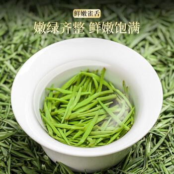 五叶泉贵州雀舌绿茶茶叶250g 2026新茶春茶高山茶叶礼盒送人送礼送长辈