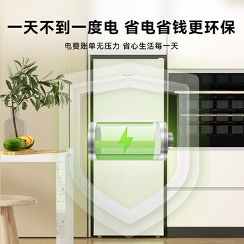 荣事达（Royalstar）161升小冰箱小型家用出租房办公室宿舍双开门两门双门二门电冰箱节能省电低音白色BCD-161L9RSZ