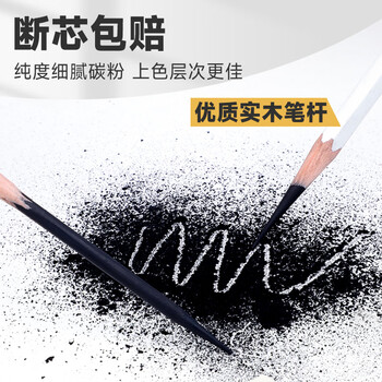 青竹画材（CHINJOO）流光白炭笔美术生专用软中硬素描铅笔碳笔碳条碳铅笔绘画素描美术写生【流光白速写炭笔/12支】