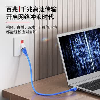 安普康（AMPCOM）超五类网线水晶头通孔穿孔式 RJ45屏蔽50μ纯铜镀金8P8C超5类百兆网线电脑连接头10个 AM179078