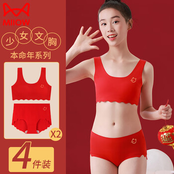 中学　文胸 