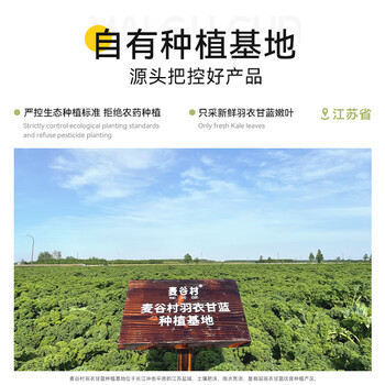 麦谷村 羽衣甘蓝粉膳食纤维健身低脂肪蔬菜粉冲饮代餐粉 2盒（30g/盒）