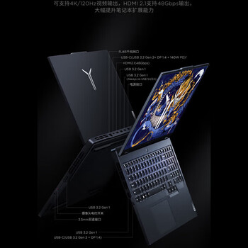 联想（Lenovo）拯救者Y9000P图形渲染笔记本电脑（I9-14900HX 64G 4T SSD RTX4090 2.5K屏）定制