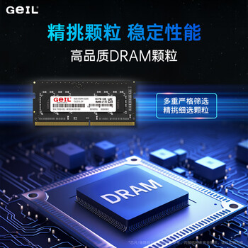 GEIL金邦 16G DDR4-2666 笔记本内存条 千禧系列 GEIL金邦 16G DDR4-2666 笔记本内存条 千禧系列