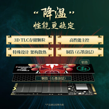 梵想（FANXIANG）2TB SSD固态硬盘 M.2接口NVMe协议PCIe 4.0x4 TLC颗粒 电脑PS5游戏扩展盘适配黑神话悟空 S790