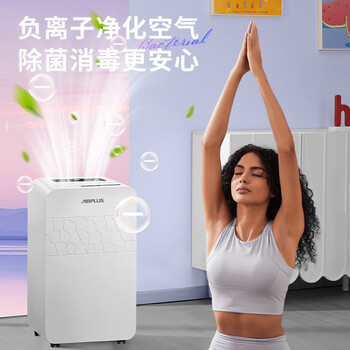 艾普莱斯（AIRPLUS）除湿量20L/天 适用40㎡ 家用轻音干衣机地下室回南天除湿干衣机APP智控AP22-202EW