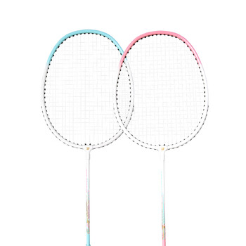 红双喜（DHS）羽毛球拍对拍套装(含手胶/球)深凹槽防磨升级训练羽拍   