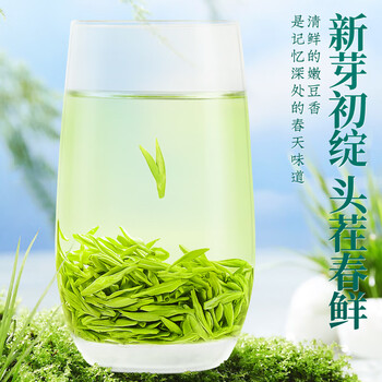 福茗源绿茶 龙井茶  豆香型特级明前2026新茶叶礼盒送长辈自己喝250g