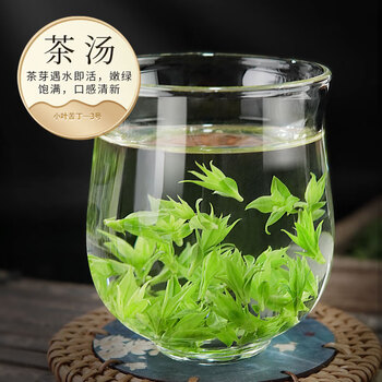 八窨飘雪小叶苦丁茶 2026茶叶新茶正宗无硫花草茶四川头采嫩芽罐装125g