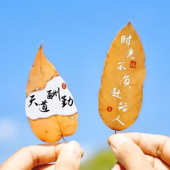 狮洛德 中国风60张书法树叶书签学生文具考试奖励小礼品创意励志文字书页夹