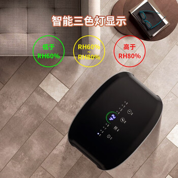 艾普莱斯（AIRPLUS）除湿机/抽湿机 除湿量12L/天 适用20㎡AP12-602EE