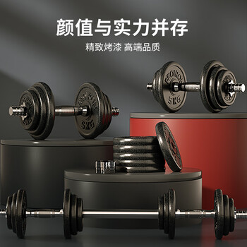 PROIRON普力艾 哑铃男健身家用可调节纯铁20KG家用杠铃+配35厘米连接杆