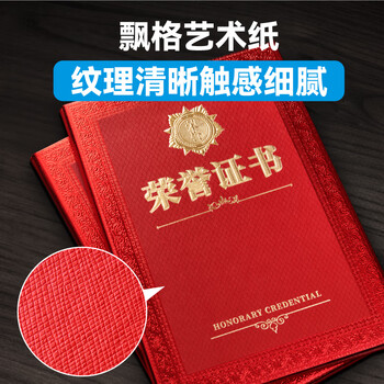 DSB（迪士比）荣誉证书12K/10本装奖章款外壳获奖空白奖状培训表彰奖励颁奖证书配20张A4内芯 050830