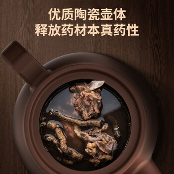 （JOYOUNG）九阳煎药壶中药锅养生壶熬中药电砂锅全自动药膳煲中药煲药壶电药锅 GD110【一体式/双档调节】 2L