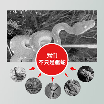 鼠道难丛林奇兵驱蛇丸驱蛇粉长效驱蛇药防蛇神器草坪庭院防蛇咬药丸10粒 鼠道难丛林奇兵驱蛇丸驱蛇粉长效驱蛇药防蛇神器草坪庭院防蛇咬药丸10粒