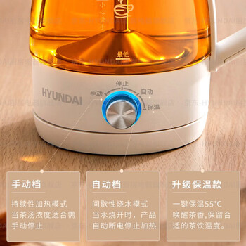 HYUNDAI韩国煮茶器 迷你养生壶一人蒸汽喷淋式蒸茶器全自动升级保温黑茶白茶 白色【不锈钢滤网】 1L