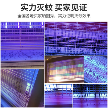 嘉柏兰灭蚊灯商用家用灭蚊器灭蝇灯灭蚊苍蝇神器三灯管(约100平方) 嘉柏兰灭蚊灯商用家用灭蚊器灭蝇灯灭蚊苍蝇神器三灯管(约100平方)