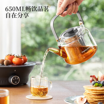 摩飞电器摩飞养生壶 电陶炉煮茶器煮茶炉多功能围炉煮器不挑器具 0.65L MR6083 深空灰+洗洁精一瓶