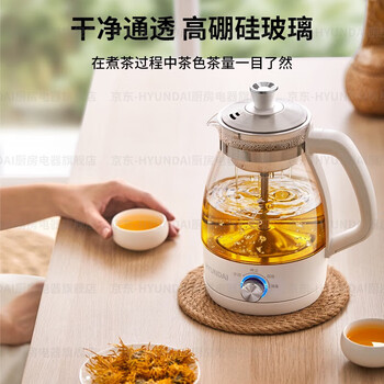 HYUNDAI韩国煮茶器 迷你养生壶一人蒸汽喷淋式蒸茶器全自动升级保温黑茶白茶 白色【不锈钢滤网】 1L