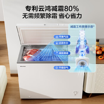 海信(Hisense)300升减霜大容量冰柜家用商用囤货冷柜 钢制内胆 冷藏冷冻转换 雪糕冰柜卧式冰箱BD/BC-300ZNUM 海信(Hisense)300升减霜大容量冰柜家用商用囤货冷柜 钢制内胆 冷藏冷冻转换 雪糕冰柜卧式冰箱BD/BC-300ZNUM