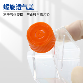 康宁 75cm正方透气盖斜口细胞培养瓶矩形斜颈瓶密封组织样品瓶实验室 【灭菌】75cm透气盖，5个/包 430641