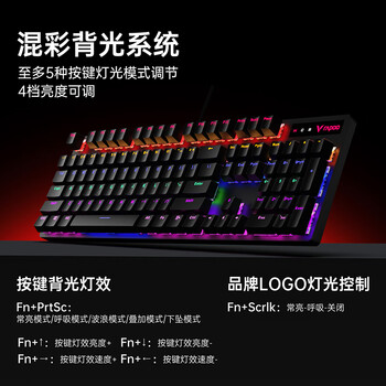 雷柏（Rapoo）V500PRO 有线背光机械键盘 104键全尺寸游戏电竞笔记本电脑多媒体办公吃鸡全键无冲键盘 青轴