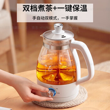 HYUNDAI韩国煮茶器 迷你养生壶一人蒸汽喷淋式蒸茶器全自动升级保温黑茶白茶 白色【不锈钢滤网】 1L