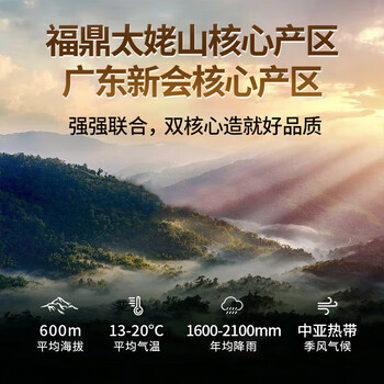 传奇会茶叶陈皮白茶老白茶福鼎白茶寿眉小方片礼盒装100g*2端午节礼物