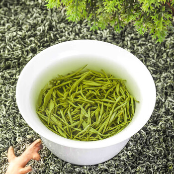 三隐茶叶 新茶碧螺春绿茶明前春茶洞庭湖原产鲜爽回甘袋装500g