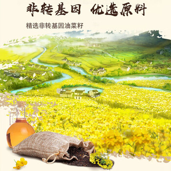 金龙鱼【洗衣液+食用油】洗衣液3kg*4瓶整箱+外婆乡小榨菜籽油5L